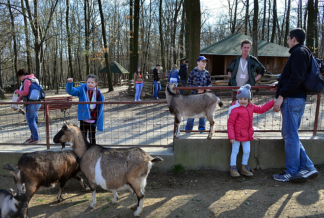 08_jobbfelso.jpg 08_jobbfelso.jpg