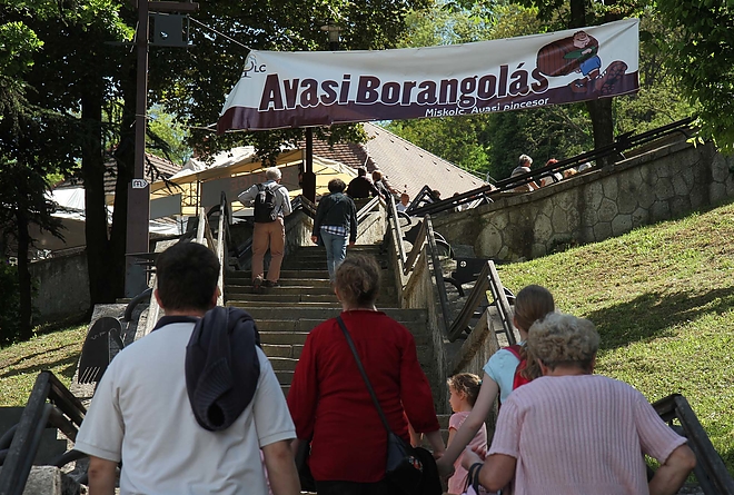 borongolas_elkezdodott_160507_ja_1.jpg