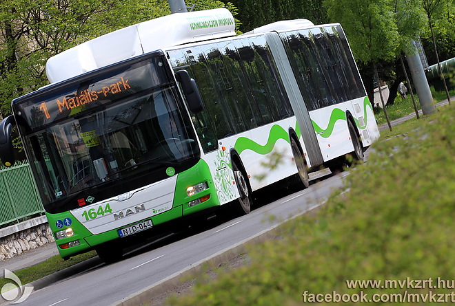 cng_busz_vers.jpg