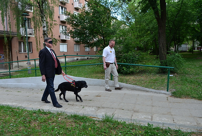 dobson_tibor_latogatasa_160509_vcs_10.jpg