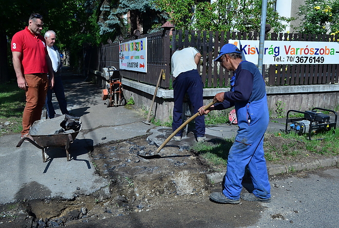 jardaepites_160525_vcs_1.jpg