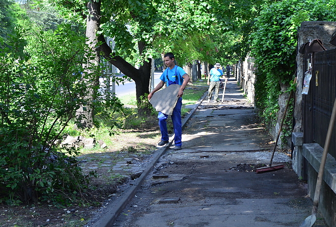 jardaepites_160525_vcs_6.jpg