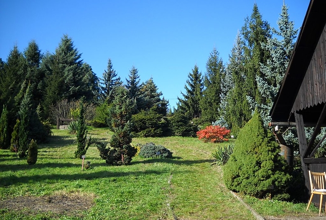 arboretum.jpg arboretum.jpg