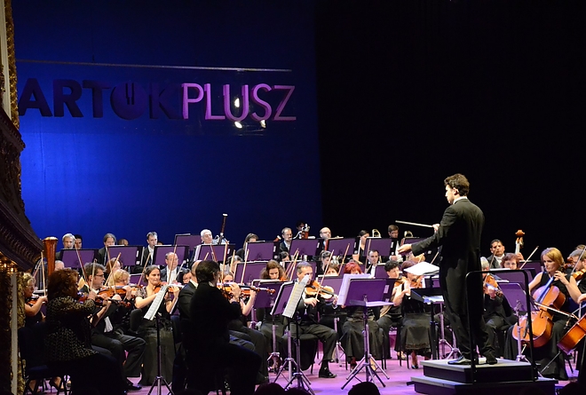 dsc_03232.jpg