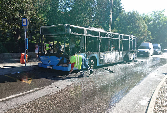 buszeg.jpeg