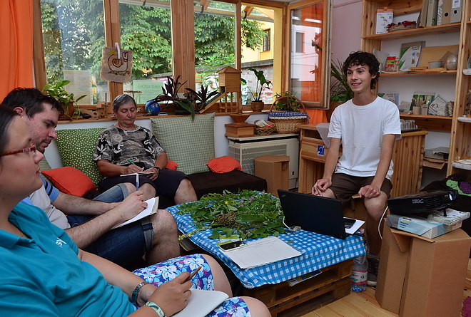 gyogynovenyek_160718_vcs_1.jpg gyogynovenyek_160718_vcs_1.jpg