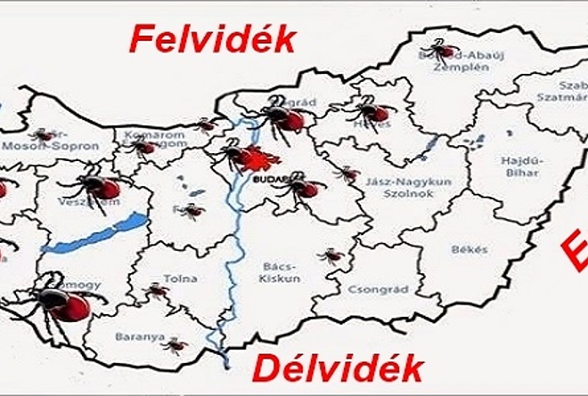 kullancs1.jpg