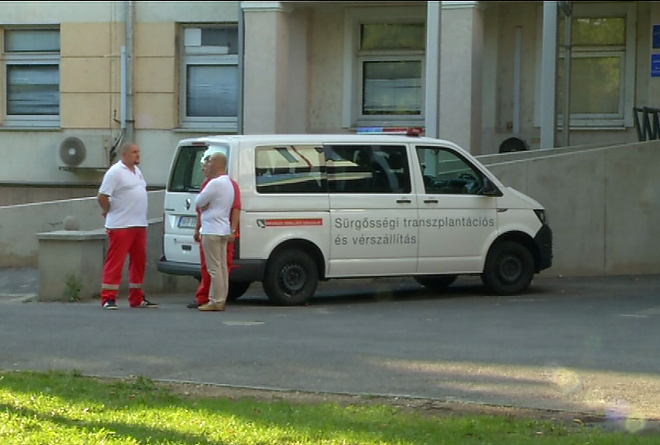 szervatultetes12.png