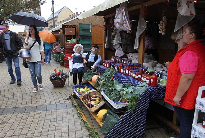 kozfoglalkoztatasi_kiallitas_150925_ja_11_0.jpg kozfoglalkoztatasi_kiallitas_150925_ja_11_0.jpg