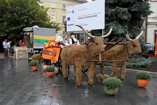 kozfoglalkoztatasi_kiallitas_150925_ja_17_0.jpg kozfoglalkoztatasi_kiallitas_150925_ja_17_0.jpg