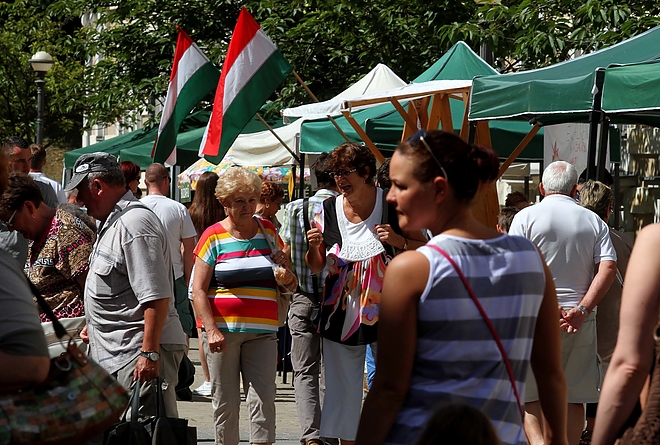 termeloi_nap_160619_ja_10.jpg