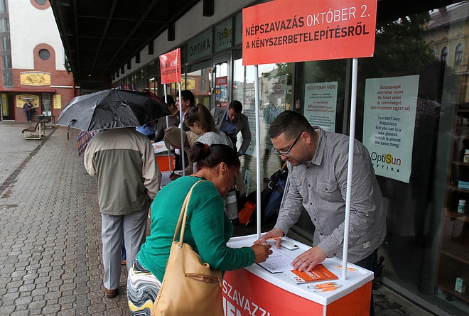 csobor_katalin_sajtaj_160905_ja_2.jpg