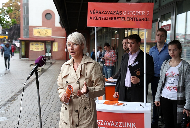 csobor_katalin_sajtaj_160905_ja_8.jpg