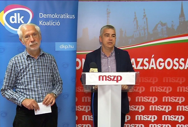 dk_mszp.jpg