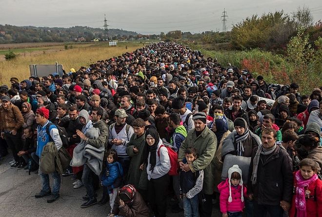 migrans.jpg