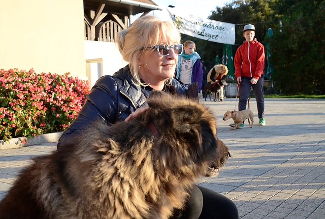 kutyas_161008_fkcs_1.jpg kutyas_161008_fkcs_1.jpg