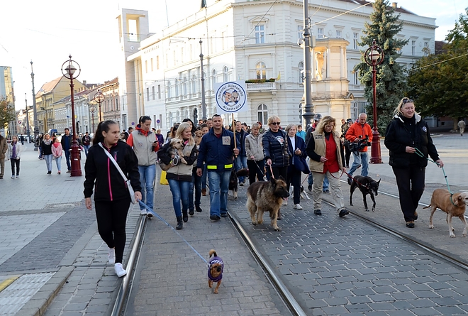 kutyas_161008_fkcs_5.jpg kutyas_161008_fkcs_5.jpg