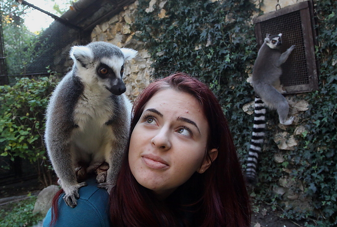 lemur_allatkert_151030ml_18.jpg