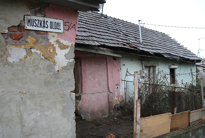 muszkas_oldal_5_161003_ja.jpg