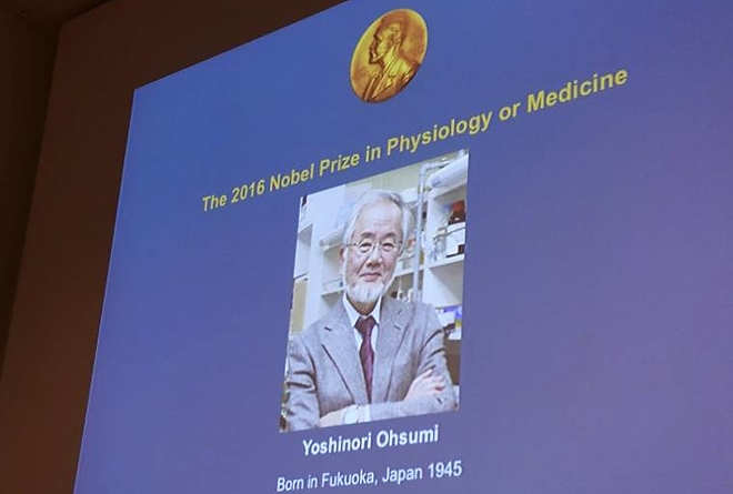 nobel.jpg nobel.jpg