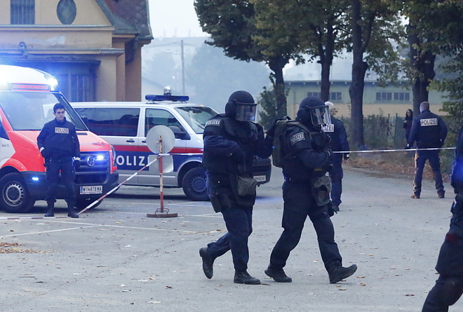 csecsen1.jpg