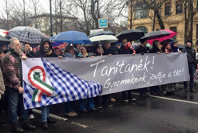 tanitanek_0.jpg