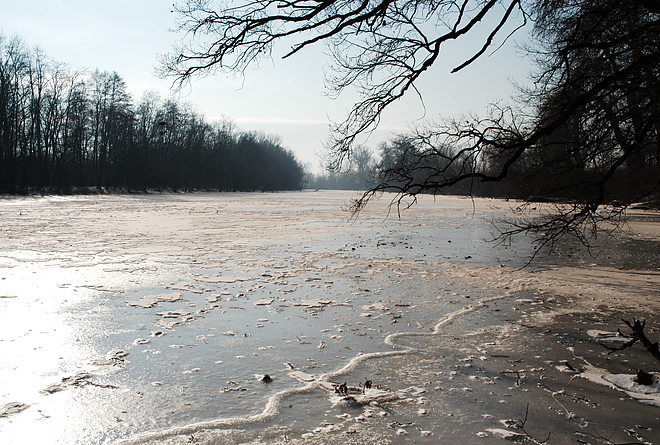 tisza.jpg