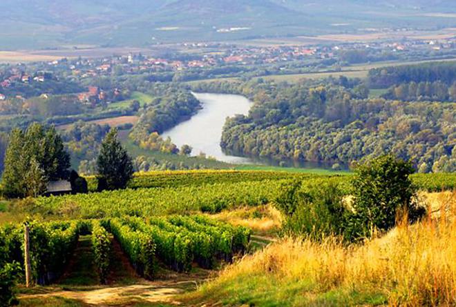 tokaji_borvidek_l_1.jpg