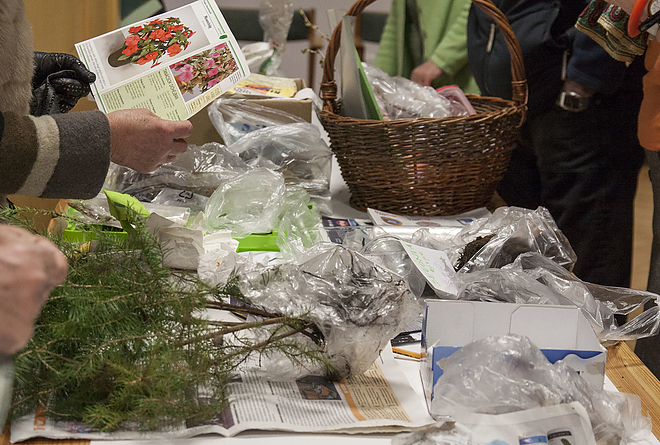 magborze_miskolcon_20170313_bl_01_web_.jpg magborze_miskolcon_20170313_bl_01_web_.jpg