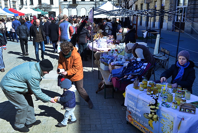 termeloi_piac_170319_vcs_26.jpg termeloi_piac_170319_vcs_26.jpg