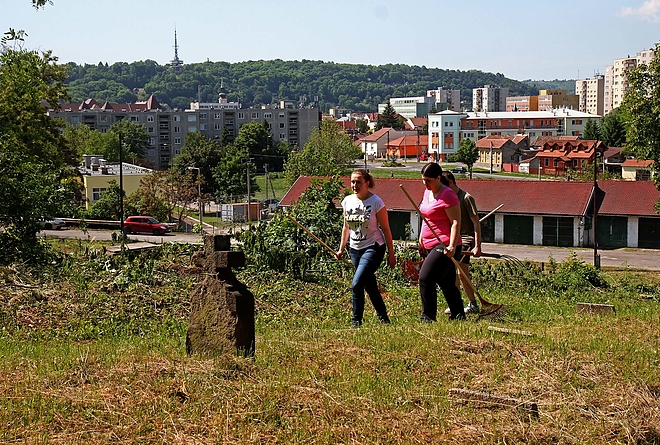 temeto_takaritas_170520_ja_5.jpg temeto_takaritas_170520_ja_5.jpg