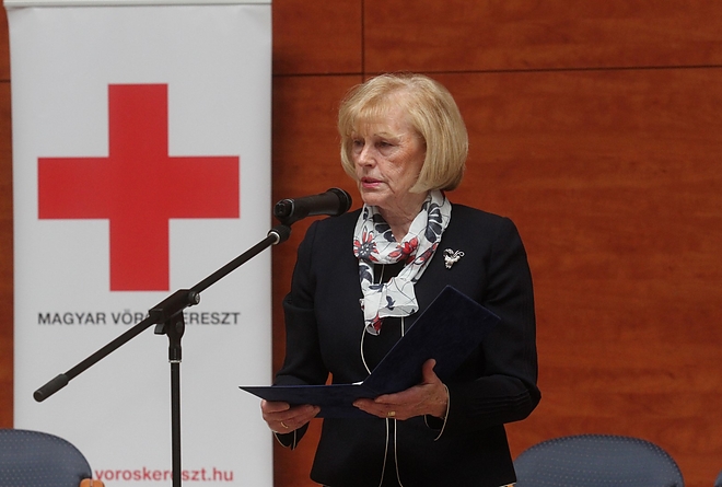 voroskereszt_vilagnapja_170508_ja_30.jpg