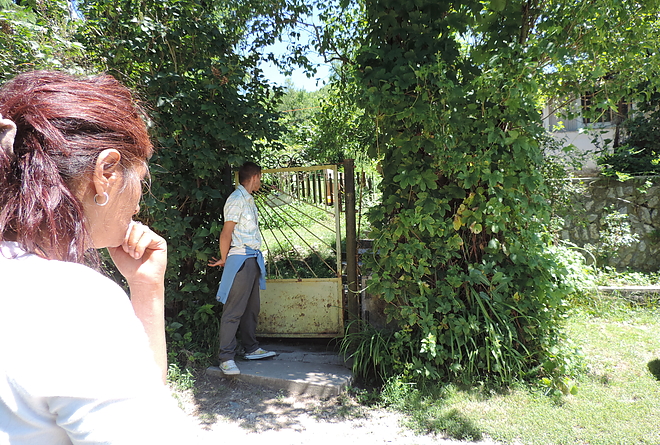 dscn5013.jpg dscn5013.jpg