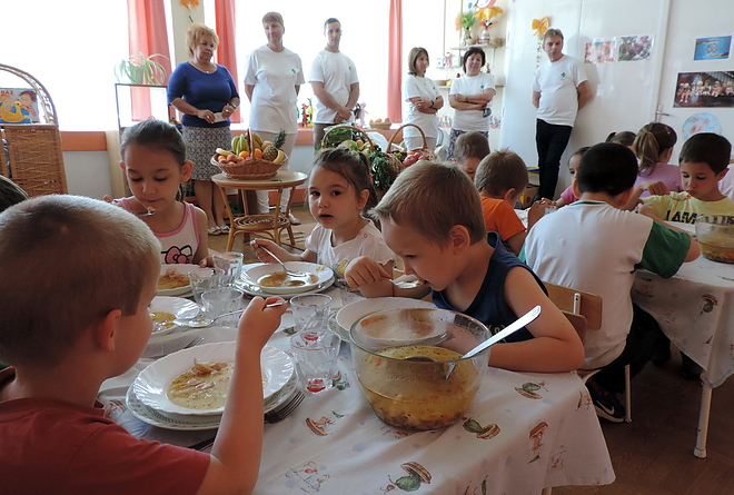napraforgo_ovoda_170602_vcs_12.jpg