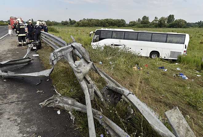 arokbusz3.jpg