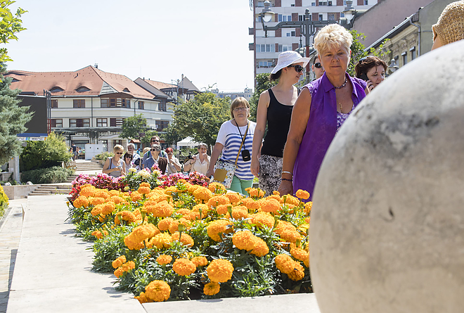 belvarosi_varosnezes_20170708_bl_019_web.jpg