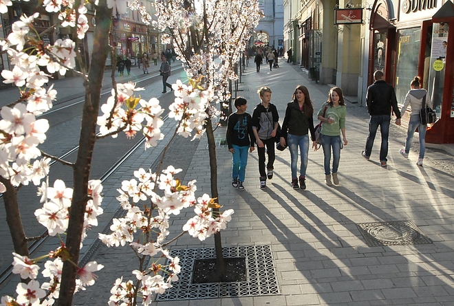 miskolc_165.jpg miskolc_165.jpg