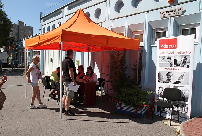 allasborze_avas_170815_ja_15.jpg