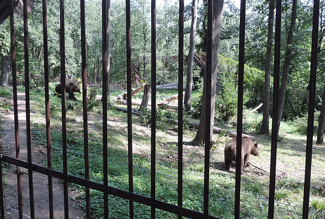 allatkertek_napja_170809_ki_8.jpg allatkertek_napja_170809_ki_8.jpg