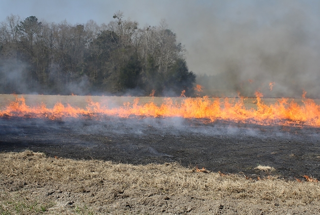 burning-hayfield.jpg burning-hayfield.jpg