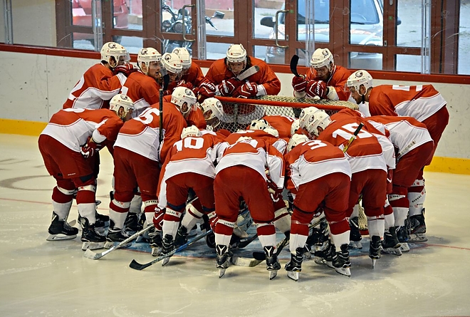 dvtk_jegesmedvek_vienna_capitals_170817_2.jpeg