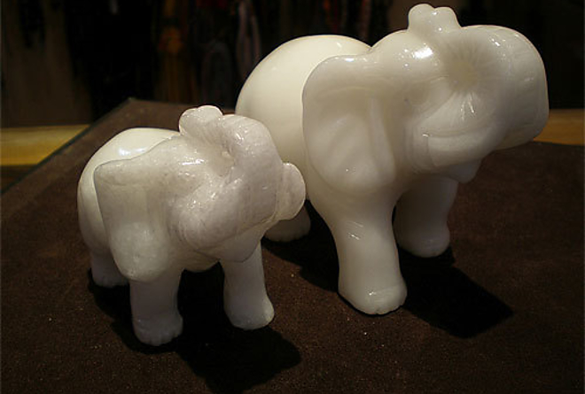 elefant.jpg elefant.jpg