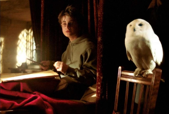 harry_potter_bagoly2.jpg harry_potter_bagoly2.jpg