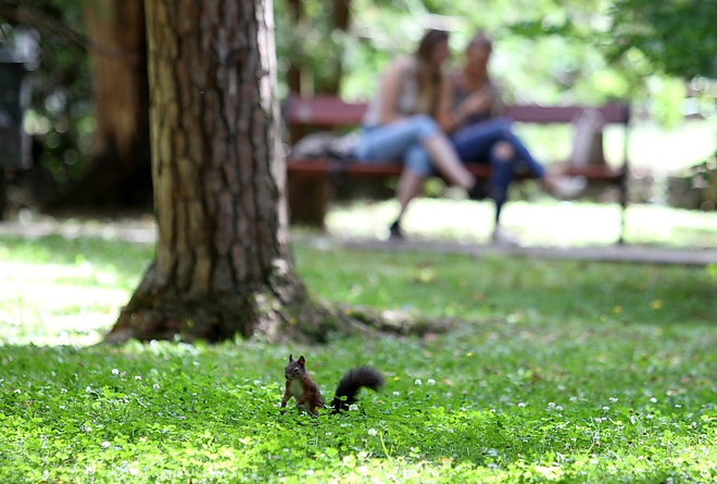 tapolca_park_170726_ja_29.jpg tapolca_park_170726_ja_29.jpg
