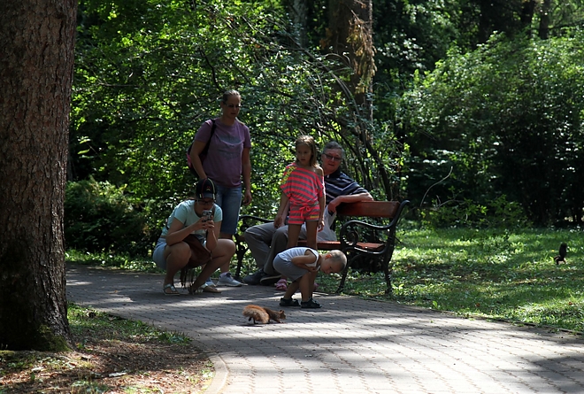 tapolca_park_170804_ja.jpg
