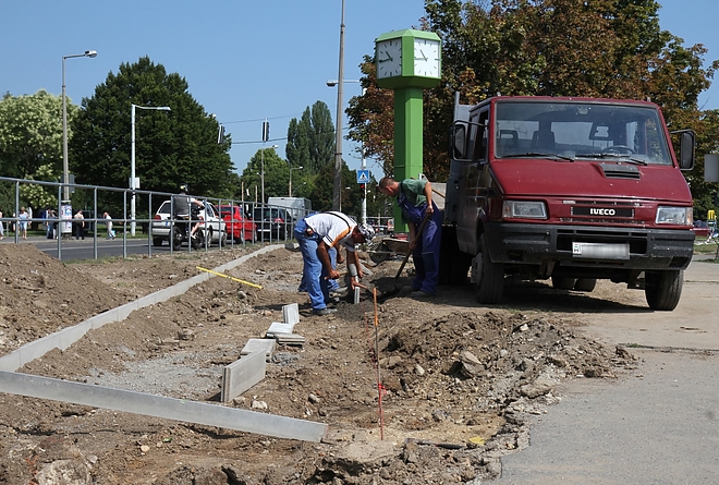 tapolcai_elagazas_parkositas_170731_ja_11.jpg