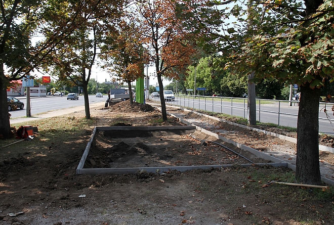 tapolcai_elagazas_parkositas_170731_ja_5.jpg