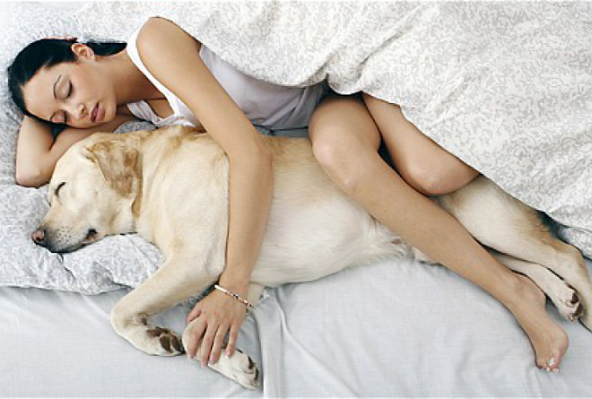 882image_alvaskutyaval1.png