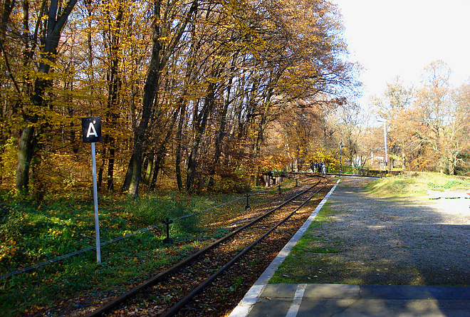 erdo10.jpg