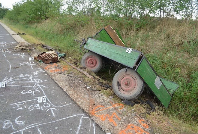 lovaskocs5.jpg